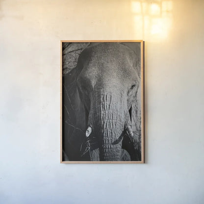 Close Up Elephant by Sharon Vardy. shown as a paper print in a natural frame. Available as a archival giclee rolled canvas, fine art paper, or poster print. SKU 92672h.
