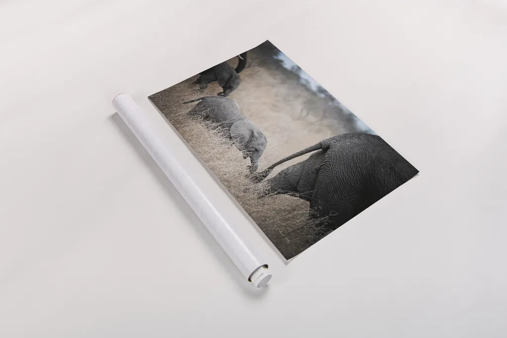 Ellie Chain by Sharon Vardy. shown as a rolled paper print. Available as archival giclee rolled canvas, fine art paper, or poster print. SKU 91957i.