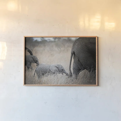 Ellie Chain by Sharon Vardy. shown as a paper print in a natural frame. Available as a archival giclee rolled canvas, fine art paper, or poster print. SKU 91957i.