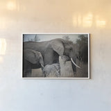 Ellie Family by Sharon Vardy. shown as a paper print in a white frame. Available as a archival giclee rolled canvas, fine art paper, or poster print. SKU 92671i.