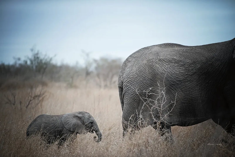 Ellie Mom and Baby by Sharon Vardy. SKU 91982i. Archival Giclee Fine art print for wall decor.