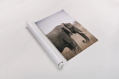 Ellie Side Profile by Sharon Vardy. shown as a rolled paper print. Available as archival giclee rolled canvas, fine art paper, or poster print. SKU 92222h.