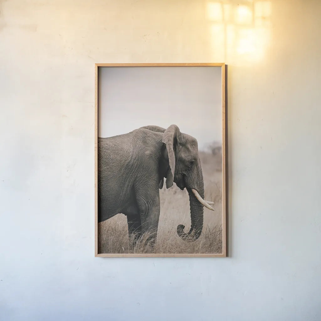 Ellie Side Profile by Sharon Vardy. shown as a paper print in a natural frame. Available as a archival giclee rolled canvas, fine art paper, or poster print. SKU 92222h.