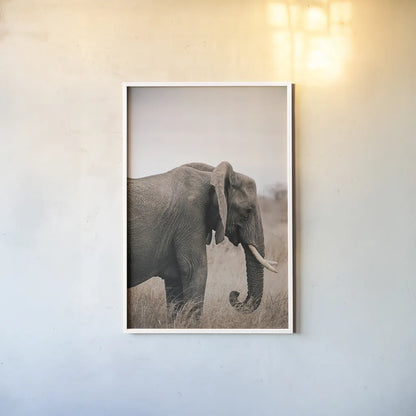 Ellie Side Profile by Sharon Vardy. shown as a paper print in a white frame. Available as a archival giclee rolled canvas, fine art paper, or poster print. SKU 92222h.