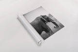 Ellie Side Profile BW by Sharon Vardy. shown as a rolled paper print. Available as archival giclee rolled canvas, fine art paper, or poster print. SKU 92223h.