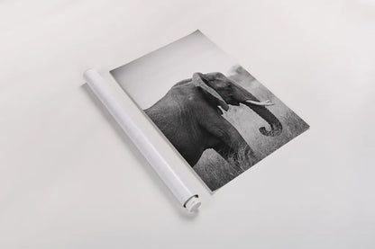 Ellie Side Profile BW by Sharon Vardy. shown as a rolled paper print. Available as archival giclee rolled canvas, fine art paper, or poster print. SKU 92223h.