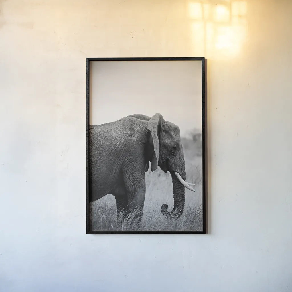 Ellie Side Profile BW by Sharon Vardy. shown as a paper print in a black flame. Available as a archival giclee rolled canvas, fine art paper, or poster print. SKU 92223h.