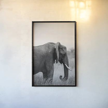 Ellie Side Profile BW by Sharon Vardy. shown as a paper print in a black flame. Available as a archival giclee rolled canvas, fine art paper, or poster print. SKU 92223h.