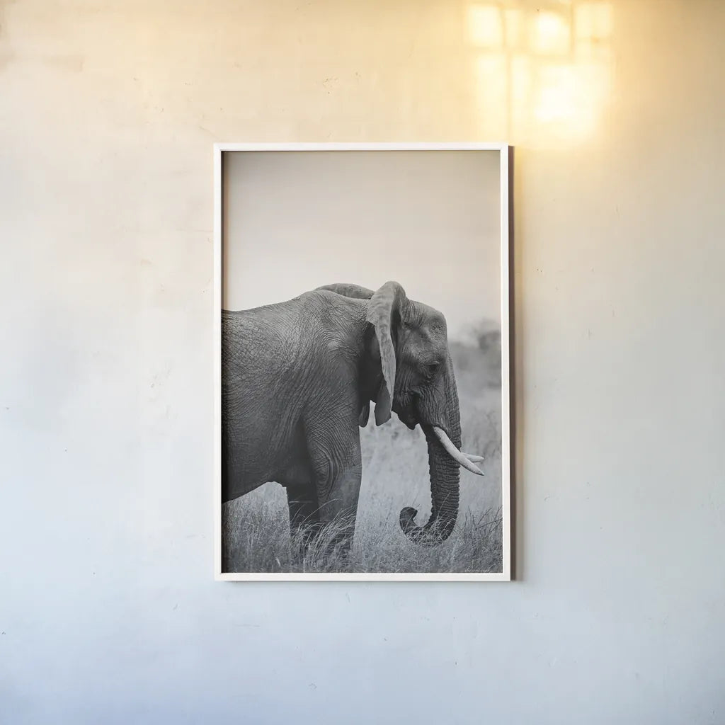 Ellie Side Profile BW by Sharon Vardy. shown as a paper print in a white frame. Available as a archival giclee rolled canvas, fine art paper, or poster print. SKU 92223h.