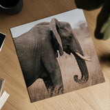 Ellie Side Profile Square by Sharon Vardy. Shown as a detailed flat fine art print, highlighting archival giclee quality. Available as an archival giclee rolled canvas, fine art paper, or poster print. SKU 99933a.