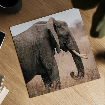 Ellie Side Profile Square by Sharon Vardy. Shown as a detailed flat fine art print, highlighting archival giclee quality. Available as an archival giclee rolled canvas, fine art paper, or poster print. SKU 99933a.