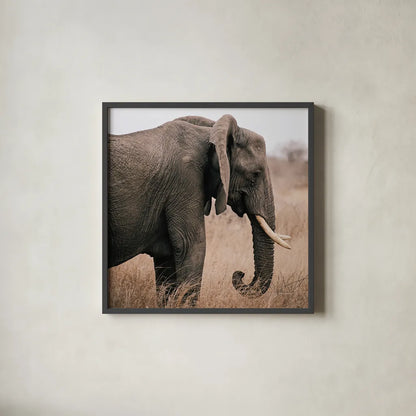 Ellie Side Profile Square by Sharon Vardy. Shown in a sleek black glass frame for a contemporary gallery look. Available as an archival giclee rolled canvas, fine art paper, or poster print. SKU 99933a.