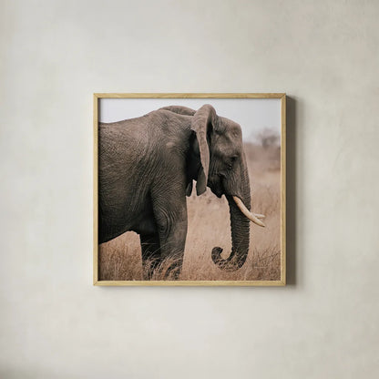 Ellie Side Profile Square by Sharon Vardy. Shown in a natural wood glass frame for a timeless modern aesthetic. Available as an archival giclee rolled canvas, fine art paper, or poster print. SKU 99933a.