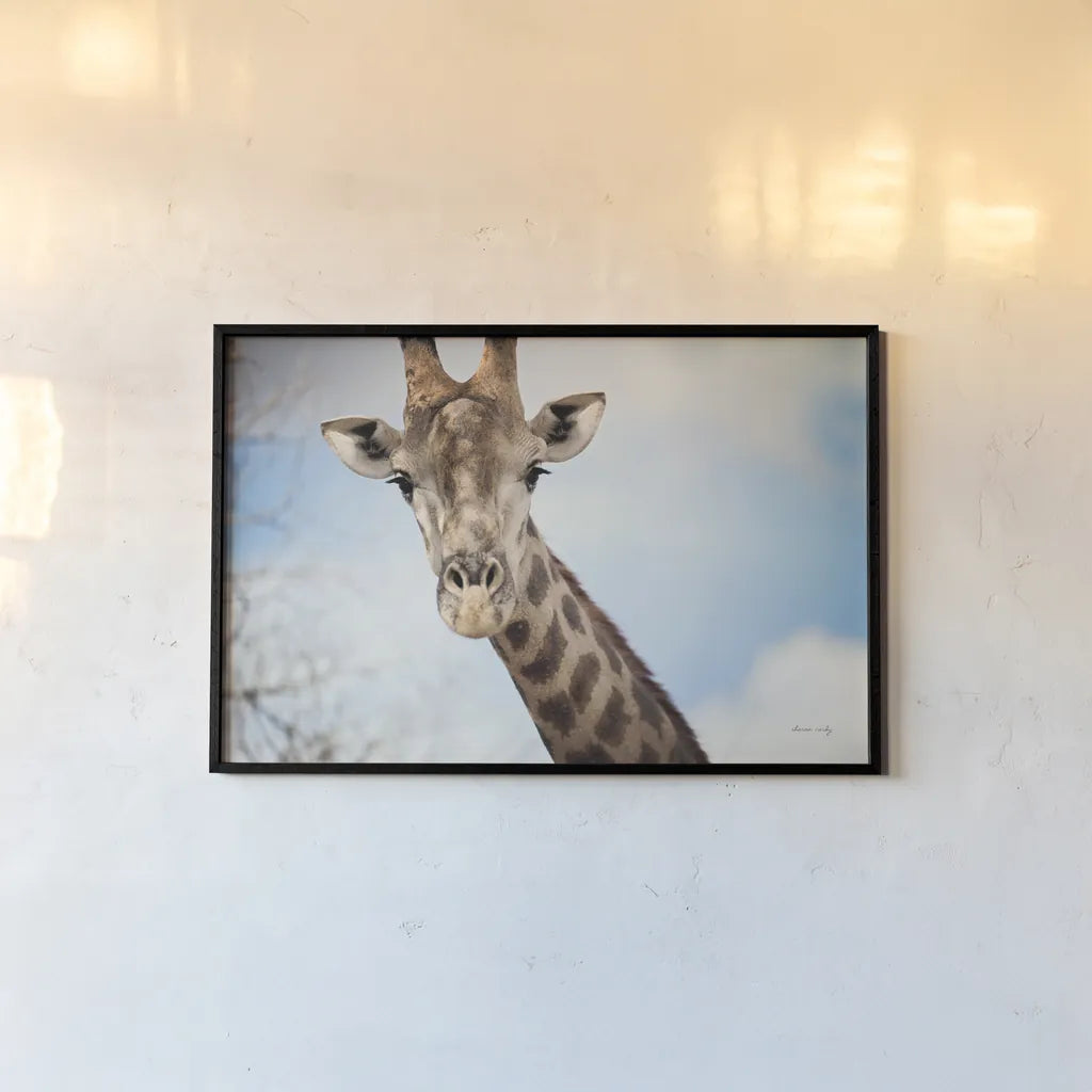 Giraffe Portrait I by Sharon Vardy. shown as a paper print in a black flame. Available as a archival giclee rolled canvas, fine art paper, or poster print. SKU 91959i.