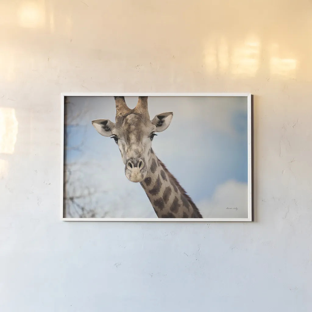 Giraffe Portrait I by Sharon Vardy. shown as a paper print in a white frame. Available as a archival giclee rolled canvas, fine art paper, or poster print. SKU 91959i.