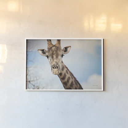 Giraffe Portrait I by Sharon Vardy. shown as a paper print in a white frame. Available as a archival giclee rolled canvas, fine art paper, or poster print. SKU 91959i.