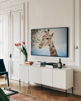 Giraffe Portrait II by Sharon Vardy. shown as a framed stretched canvas in a living room above a console. Available as a archival giclee rolled canvas, fine art paper, or poster print. SKU 91960i.