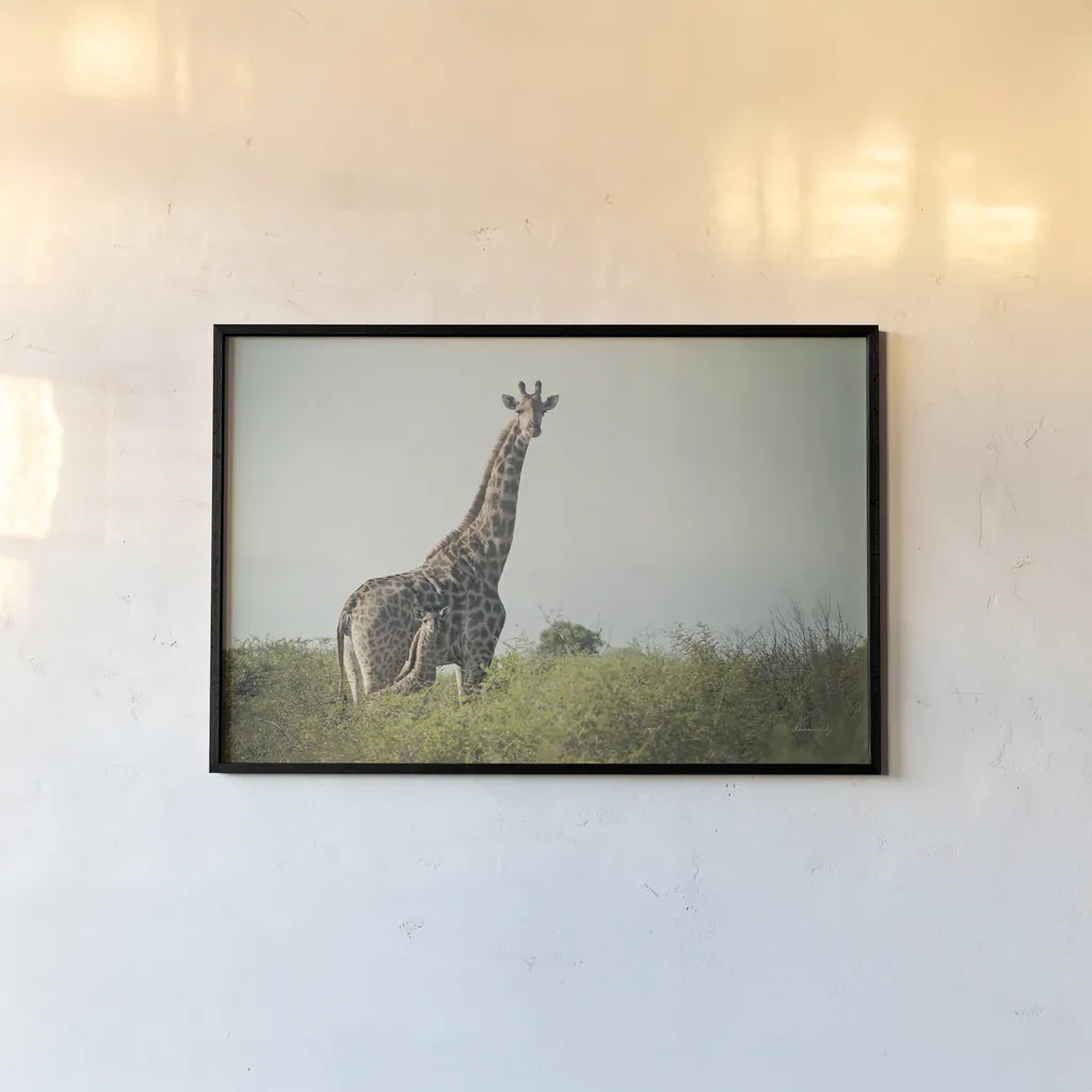 Giraffe and Baby by Sharon Vardy. shown as a paper print in a black flame. Available as a archival giclee rolled canvas, fine art paper, or poster print. SKU 93122i.