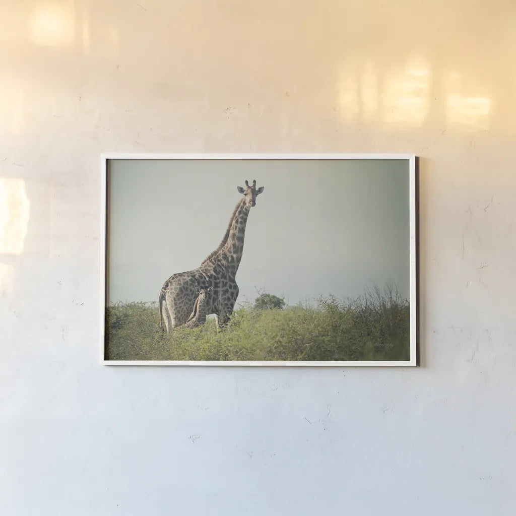 Giraffe and Baby by Sharon Vardy. shown as a paper print in a white frame. Available as a archival giclee rolled canvas, fine art paper, or poster print. SKU 93122i.