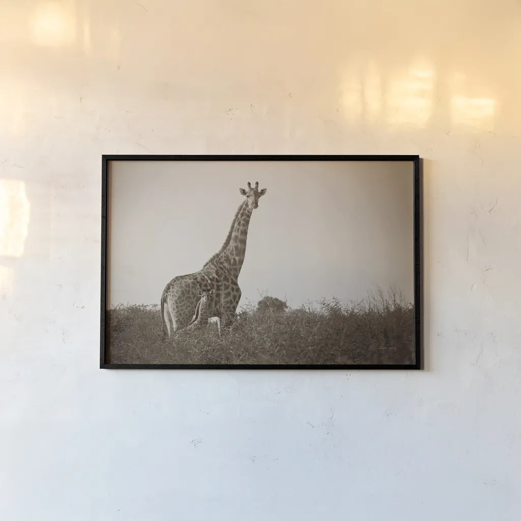 Giraffe and Baby Sepia by Sharon Vardy. shown as a paper print in a black flame. Available as a archival giclee rolled canvas, fine art paper, or poster print. SKU 93123i.
