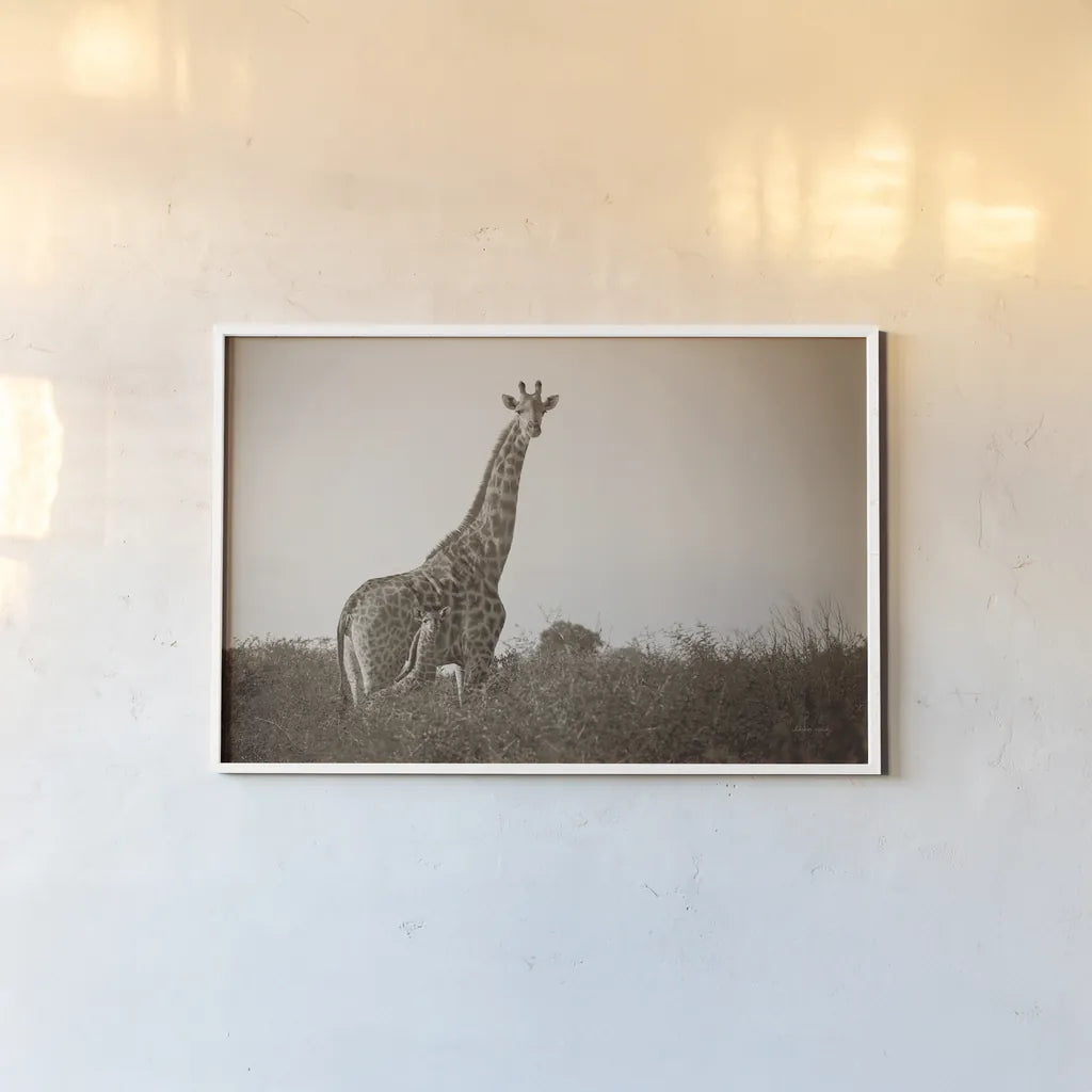 Giraffe and Baby Sepia by Sharon Vardy. shown as a paper print in a white frame. Available as a archival giclee rolled canvas, fine art paper, or poster print. SKU 93123i.