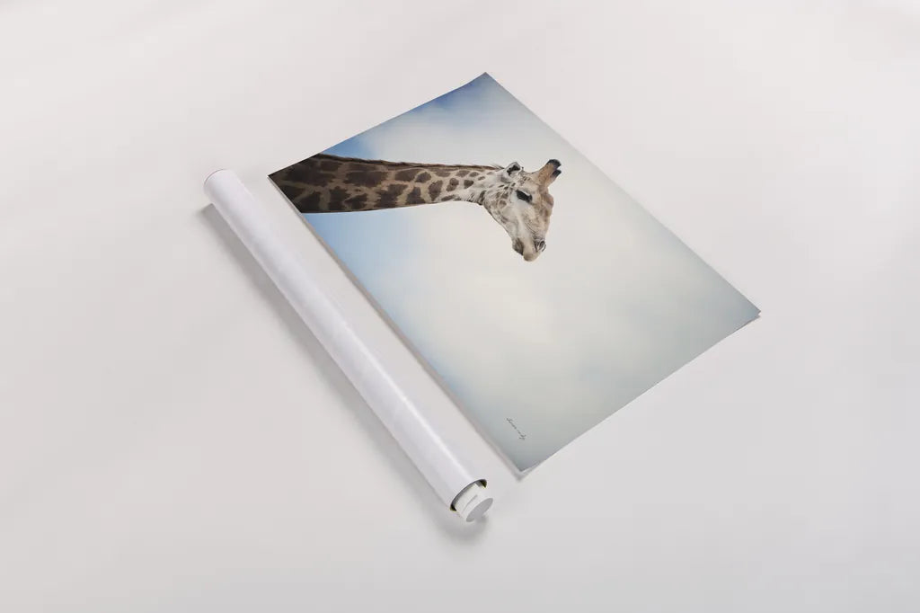 Head in the Clouds by Sharon Vardy. shown as a rolled paper print. Available as archival giclee rolled canvas, fine art paper, or poster print. SKU 92662i.