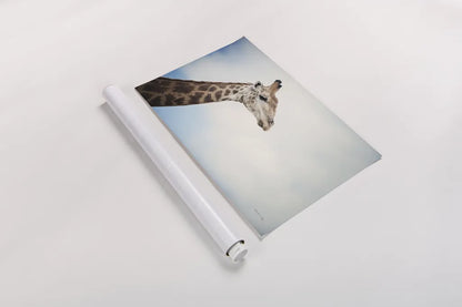 Head in the Clouds by Sharon Vardy. shown as a rolled paper print. Available as archival giclee rolled canvas, fine art paper, or poster print. SKU 92662i.