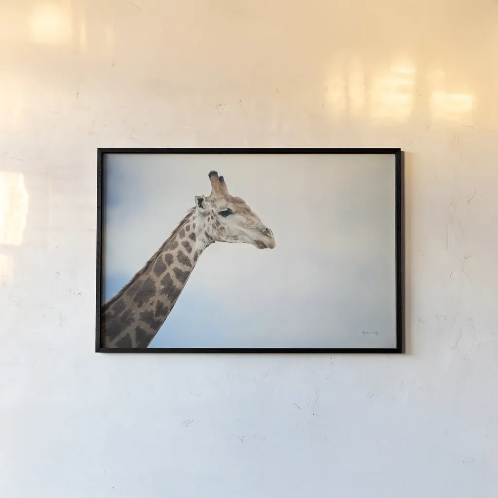 Head in the Clouds by Sharon Vardy. shown as a paper print in a black flame. Available as a archival giclee rolled canvas, fine art paper, or poster print. SKU 92662i.