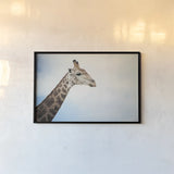 Head in the Clouds by Sharon Vardy. shown as a paper print in a black flame. Available as a archival giclee rolled canvas, fine art paper, or poster print. SKU 92662i.