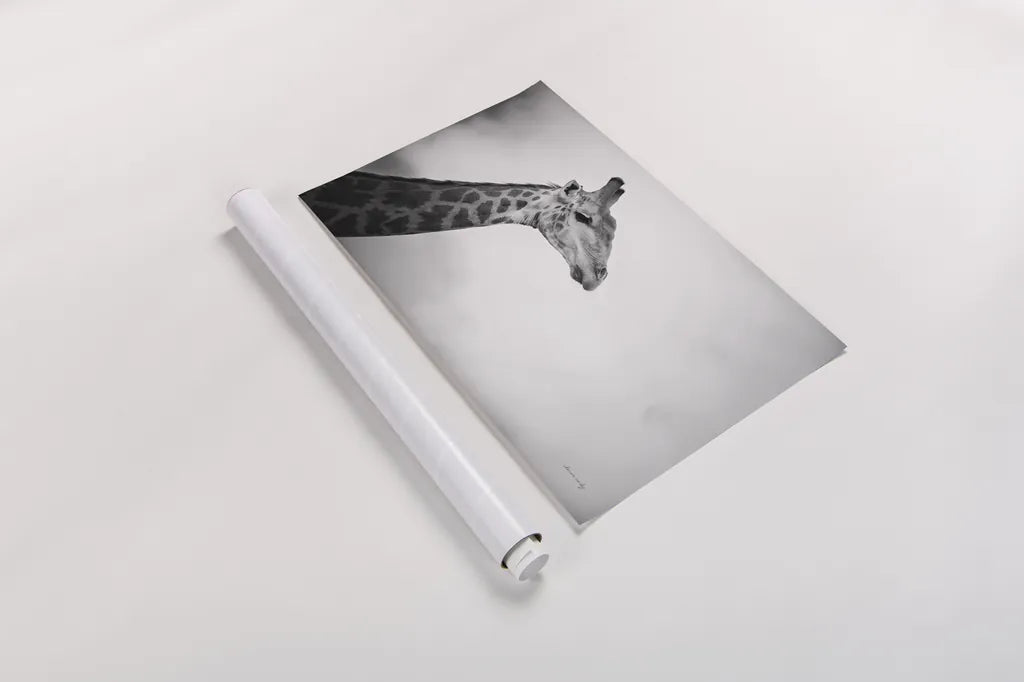 Head in the Clouds BW by Sharon Vardy. shown as a rolled paper print. Available as archival giclee rolled canvas, fine art paper, or poster print. SKU 92663i.