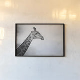 Head in the Clouds BW by Sharon Vardy. shown as a paper print in a black flame. Available as a archival giclee rolled canvas, fine art paper, or poster print. SKU 92663i.