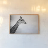 Head in the Clouds BW by Sharon Vardy. shown as a paper print in a natural frame. Available as a archival giclee rolled canvas, fine art paper, or poster print. SKU 92663i.