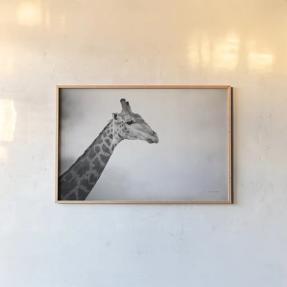 Head in the Clouds BW by Sharon Vardy. shown as a paper print in a natural frame. Available as a archival giclee rolled canvas, fine art paper, or poster print. SKU 92663i.