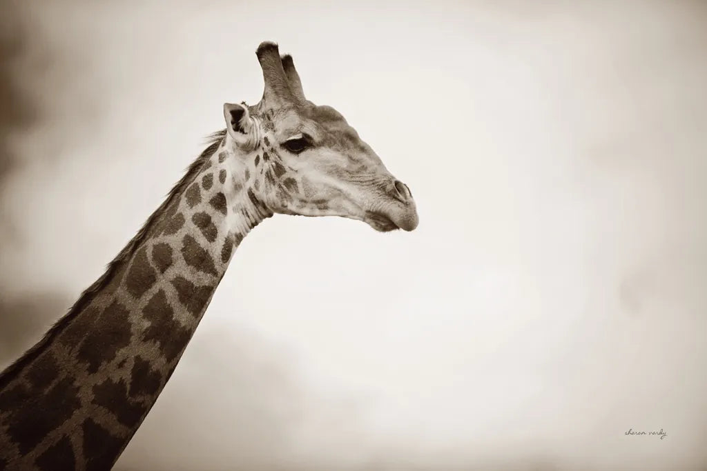 Head in the Clouds Sepia by Sharon Vardy. SKU 92664i. Archival Giclee Fine art print for wall decor.