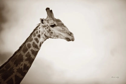 Head in the Clouds Sepia by Sharon Vardy. SKU 92664i. Archival Giclee Fine art print for wall decor.