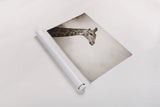 Head in the Clouds Sepia by Sharon Vardy. shown as a rolled paper print. Available as archival giclee rolled canvas, fine art paper, or poster print. SKU 92664i.