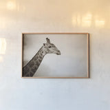Head in the Clouds Sepia by Sharon Vardy. shown as a paper print in a natural frame. Available as a archival giclee rolled canvas, fine art paper, or poster print. SKU 92664i.