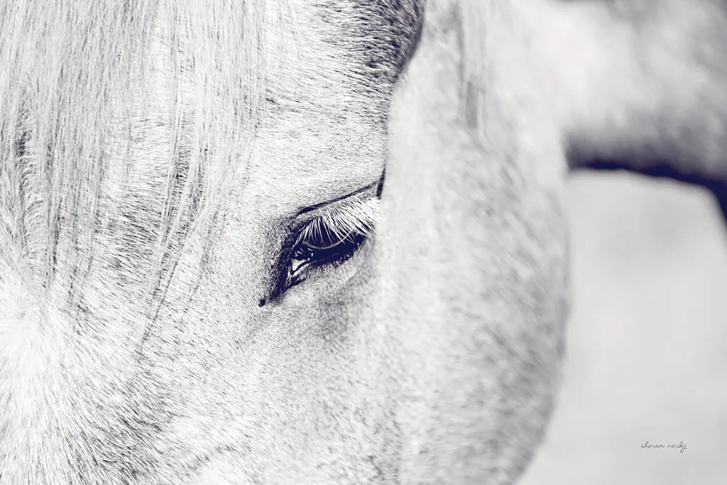 Horse Eye I by Sharon Vardy. SKU 91994i. Archival Giclee Fine art print for wall decor.