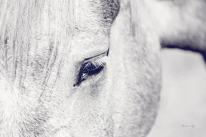 Horse Eye I by Sharon Vardy. SKU 91994i. Archival Giclee Fine art print for wall decor.