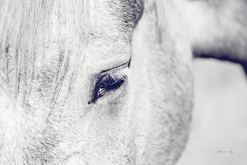 Horse Eye I by Sharon Vardy. SKU 91994i. Archival Giclee Fine art print for wall decor.