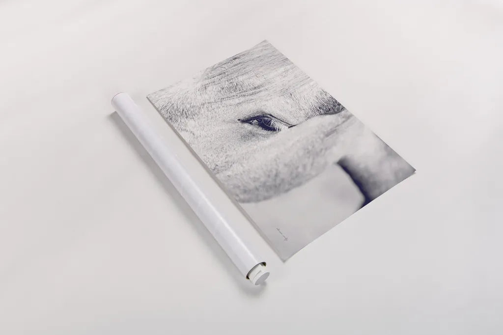 Horse Eye I by Sharon Vardy. shown as a rolled paper print. Available as archival giclee rolled canvas, fine art paper, or poster print. SKU 91994i.