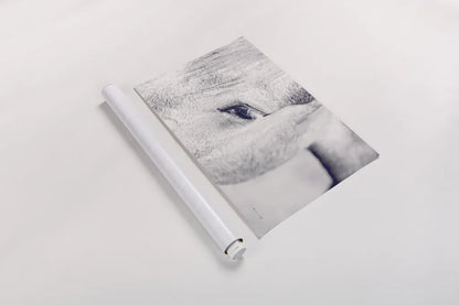 Horse Eye I by Sharon Vardy. shown as a rolled paper print. Available as archival giclee rolled canvas, fine art paper, or poster print. SKU 91994i.