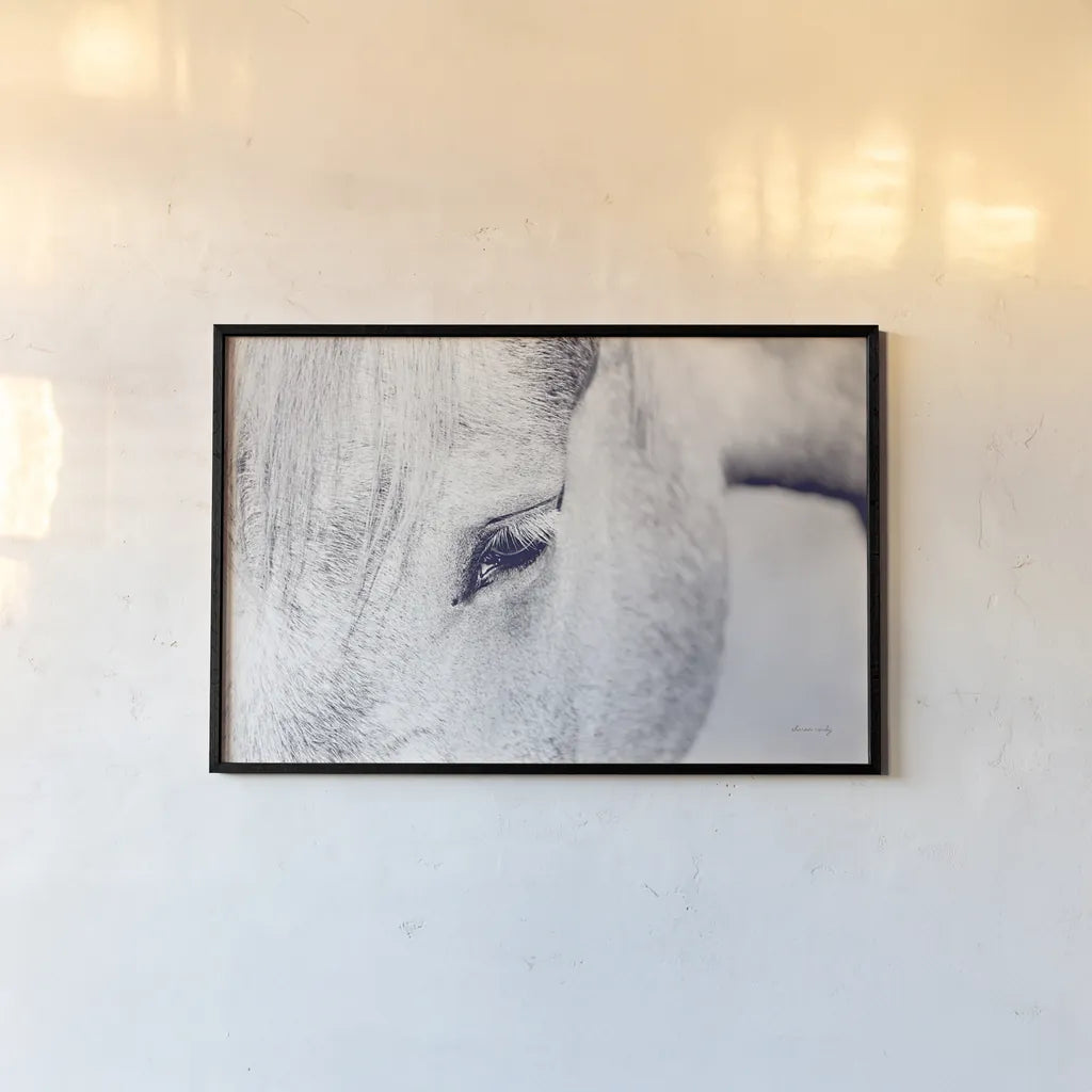 Horse Eye I by Sharon Vardy. shown as a paper print in a black flame. Available as a archival giclee rolled canvas, fine art paper, or poster print. SKU 91994i.