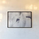 Horse Eye I by Sharon Vardy. shown as a paper print in a black flame. Available as a archival giclee rolled canvas, fine art paper, or poster print. SKU 91994i.