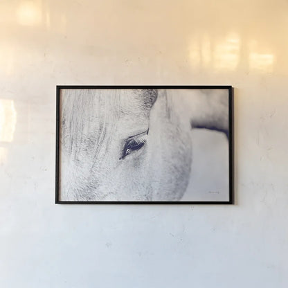 Horse Eye I by Sharon Vardy. shown as a paper print in a black flame. Available as a archival giclee rolled canvas, fine art paper, or poster print. SKU 91994i.
