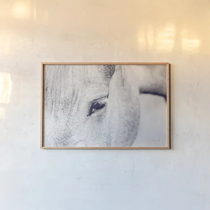 Horse Eye I by Sharon Vardy. shown as a paper print in a natural frame. Available as a archival giclee rolled canvas, fine art paper, or poster print. SKU 91994i.