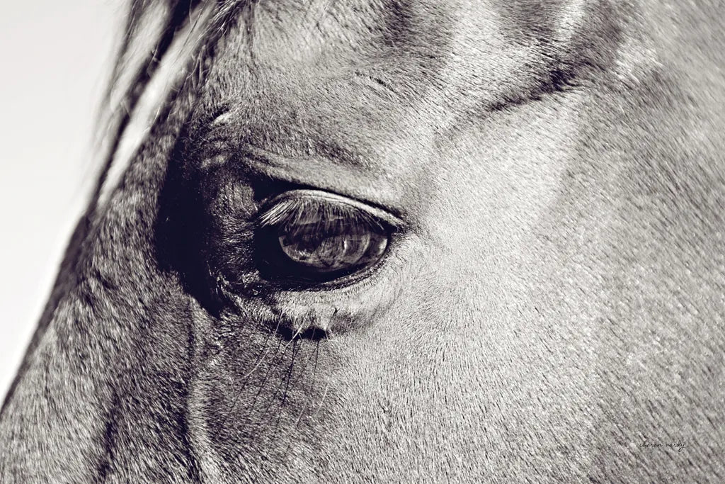 Horse Eye II by Sharon Vardy. SKU 91995i. Archival Giclee Fine art print for wall decor.