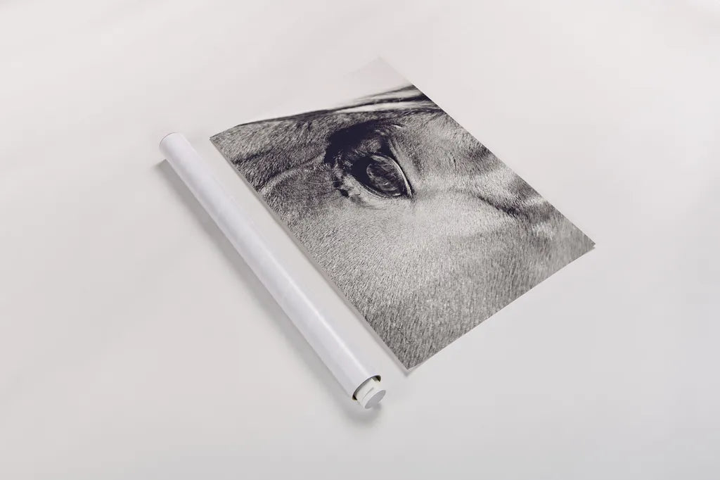 Horse Eye II by Sharon Vardy. shown as a rolled paper print. Available as archival giclee rolled canvas, fine art paper, or poster print. SKU 91995i.