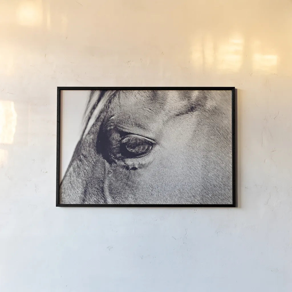 Horse Eye II by Sharon Vardy. shown as a paper print in a black flame. Available as a archival giclee rolled canvas, fine art paper, or poster print. SKU 91995i.