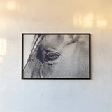 Horse Eye II by Sharon Vardy. shown as a paper print in a black flame. Available as a archival giclee rolled canvas, fine art paper, or poster print. SKU 91995i.
